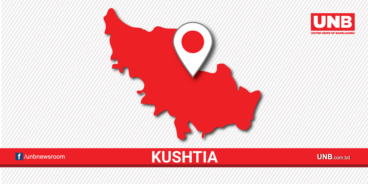 Mud collapse kills 2 children in Kushtia 