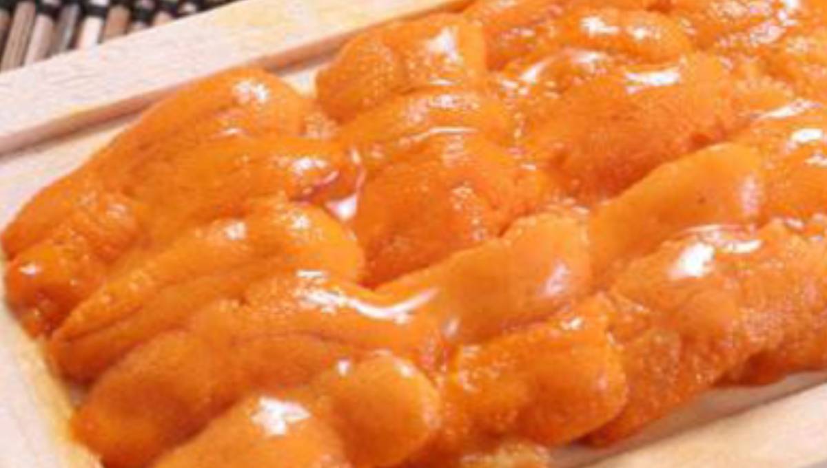 Israeli research findings on sea urchins may lead to new cancer treatment