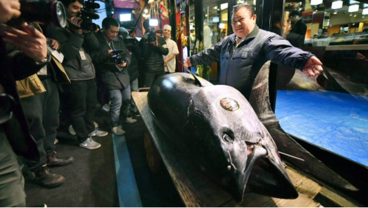 Bluefin sold for $3 million in 1st 2019 sale at Tokyo market