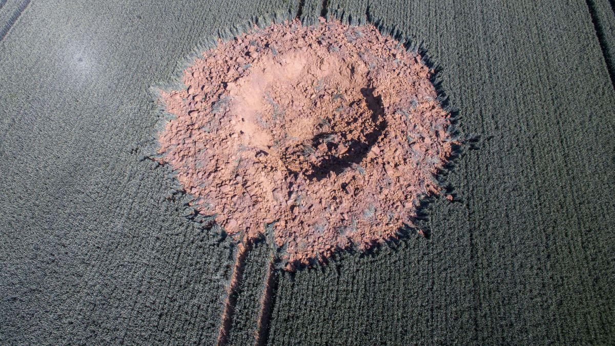 Mysterious explosion in a German cornfield was probably a WWII bomb