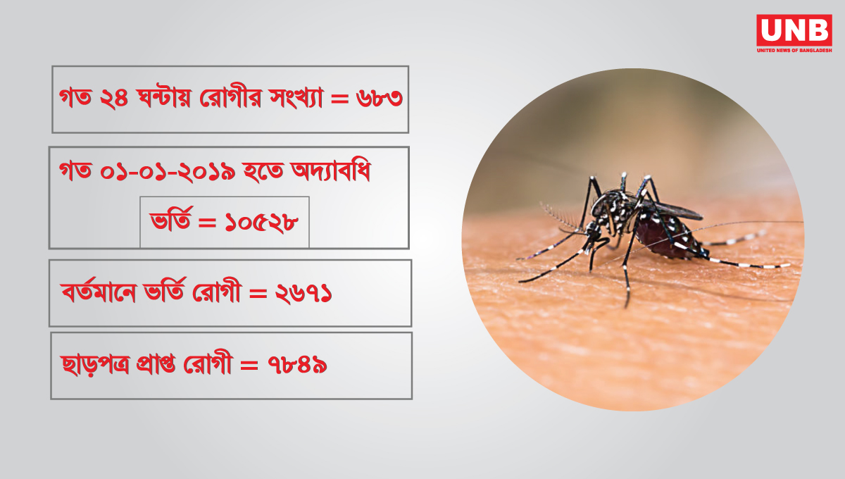 Dengue: More people infected than ever before in a calendar year