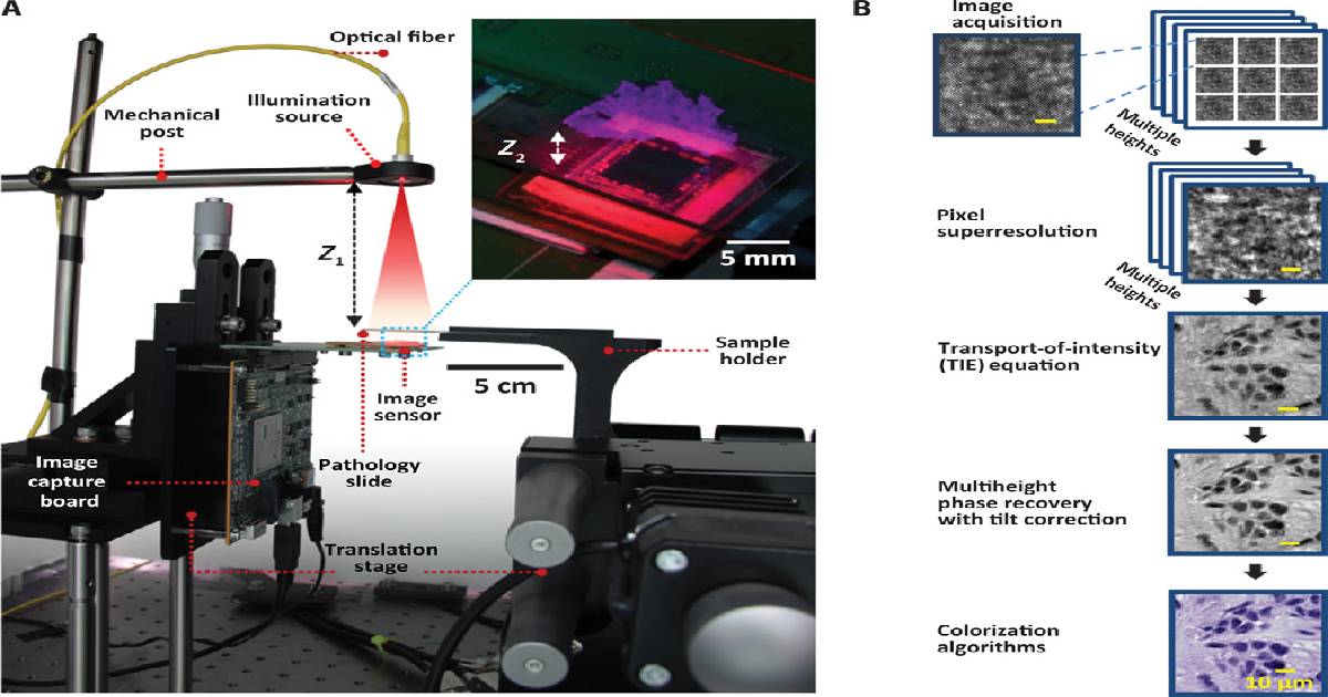 Chinese university students develop advanced lens-free microscope