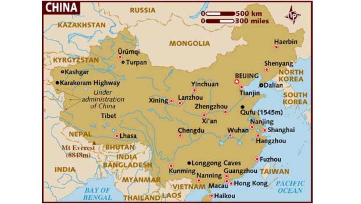 New species of marine insect recorded in China