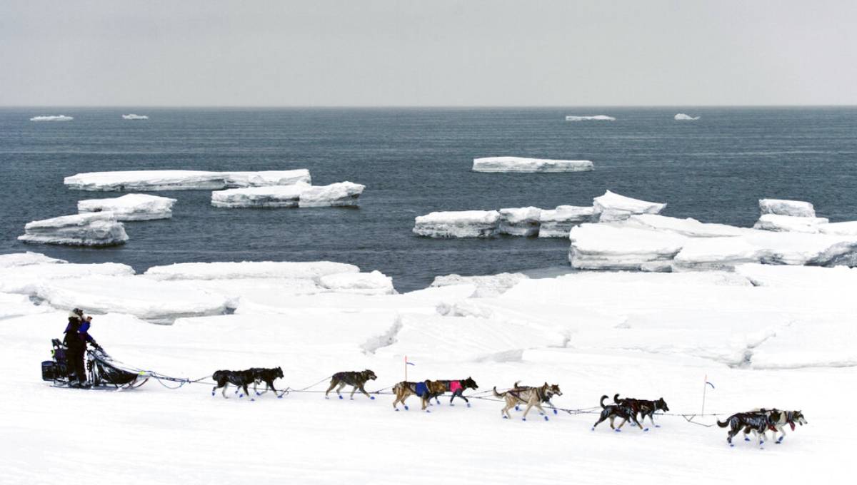 Pace of Bering Sea changes startles scientists