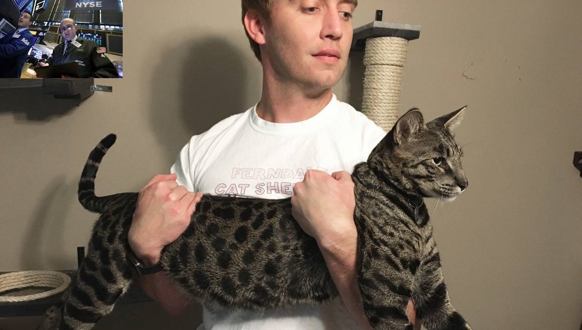 Owners of record-setting cats killed in fire sue chair-maker