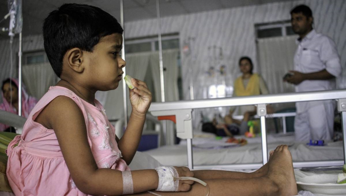 10 teams monitoring dengue situation for 24 hrs: Health Minister