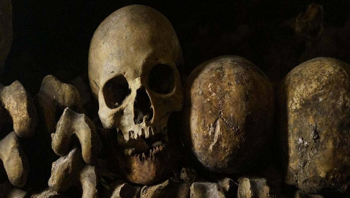 How modern life is transforming the human