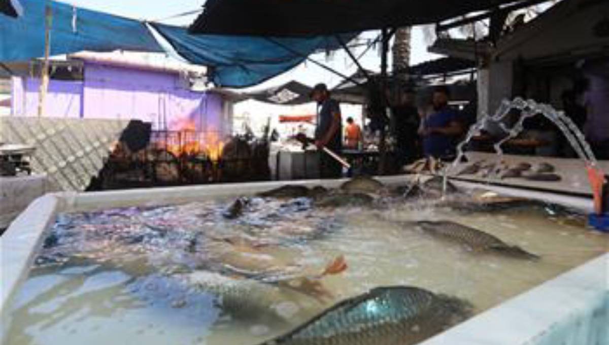 Sanitation robot family unveiled in C China