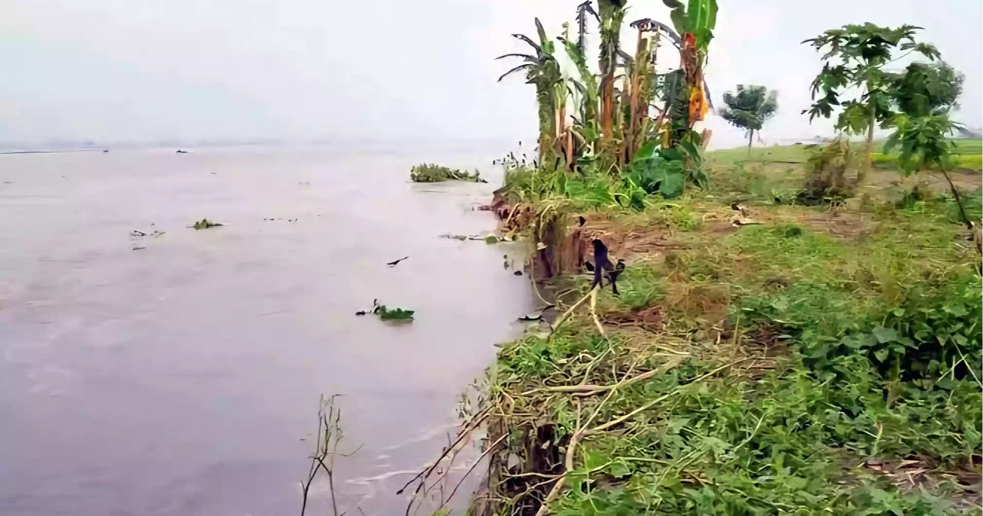 Over 40,000 stranded in 5 districts as Teesta flows above danger mark