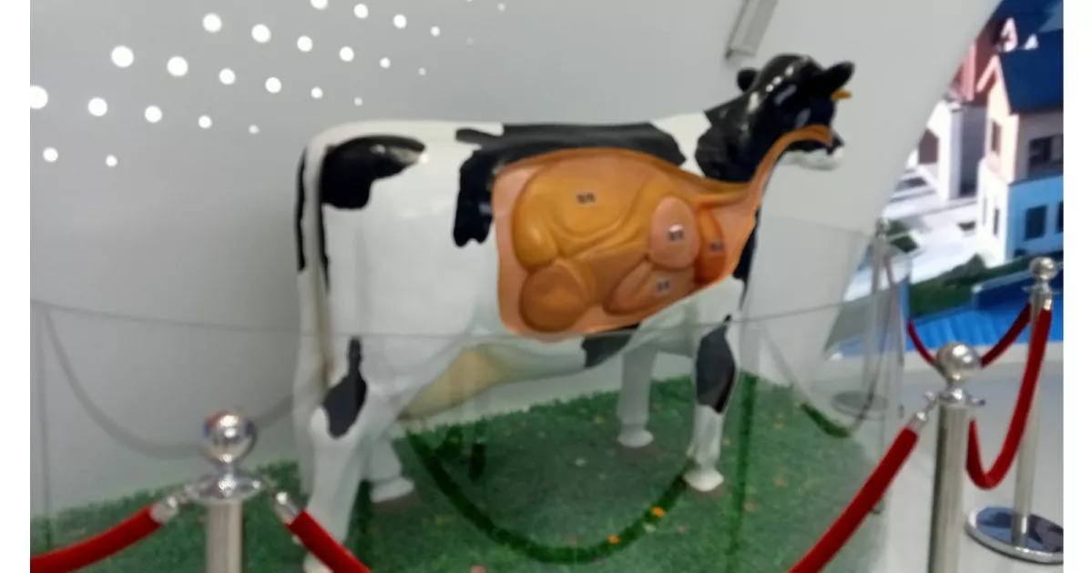 Exploring Inner Mongolia: Yili's Modern Health Valley showcases the future of farming