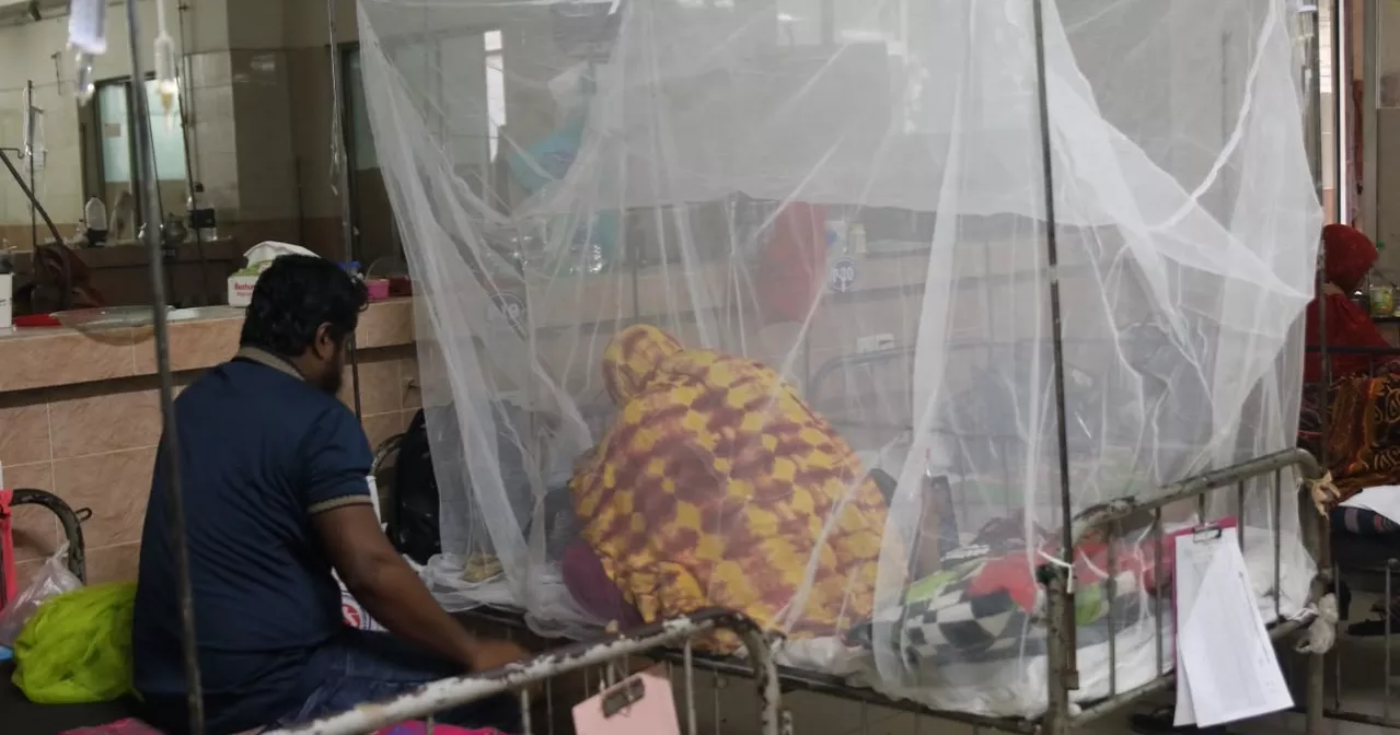Heavy rains, waterlogging heighten dengue risk in Dhaka