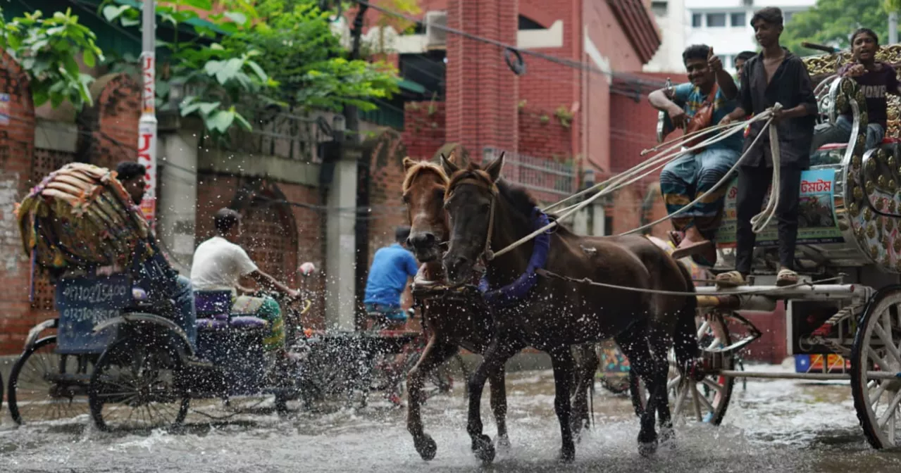 Commuters suffer as downpour leaves Dhaka streets waterlogged