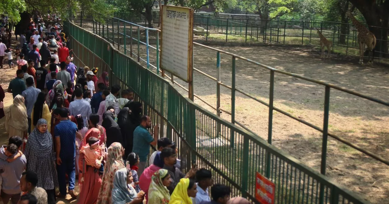 Eid joy continues as crowds flock to Dhaka Zoo