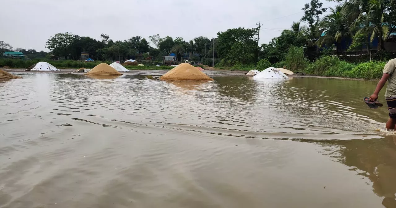 7,000 hectares of cropland inundated by continuous rain in Kishoreganj