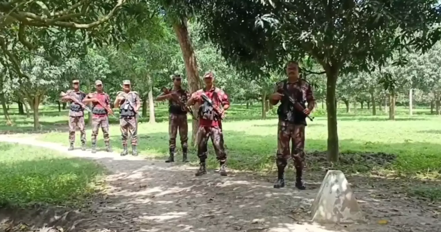 BGB on high alert at Benapole, C’nawabganj borders over possible push-ins 