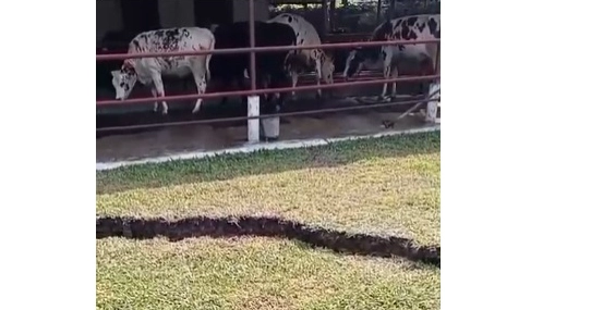 Bangladesh earthquake: Over 100 injured in Narsingdi