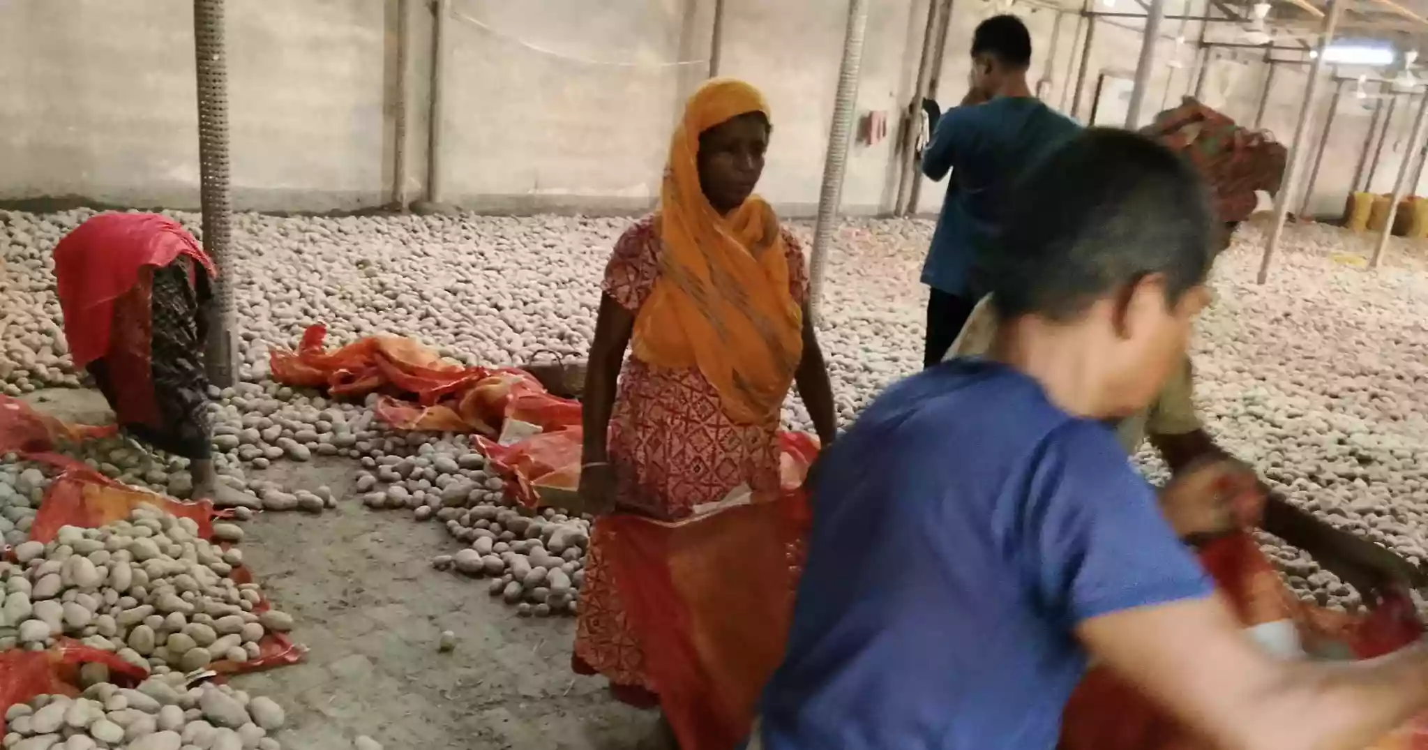Chandpur BSCIC estate struggles to grow after nearly three decades, several units shut
