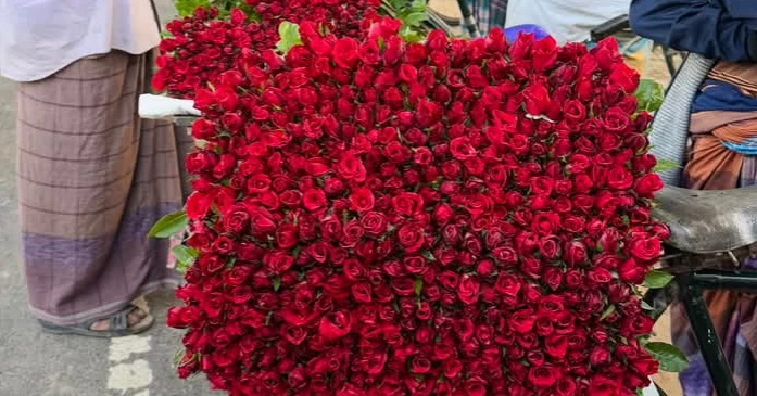 Jashore’s Gadkhali blooms with hope; flower business may cross Tk 400 crore 