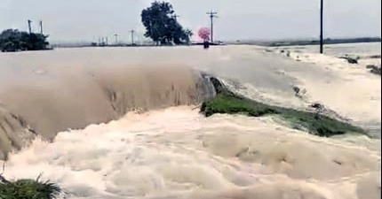 Boro crops submerged as flood situation worsens in Habiganj