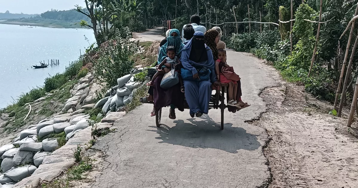 River erosion puts Rajbari road and dozens of families at risk