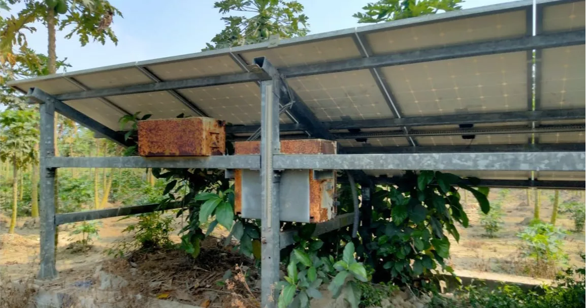 Farmers struggle amid diesel crisis as solar irrigation projects lie idle in Manikganj