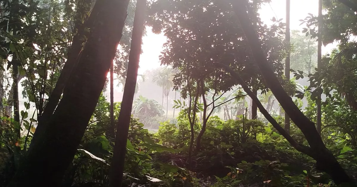 Early winter chill grips Bangladesh’s northern districts