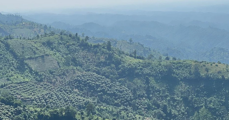 Battling ecological decline: Govt launches afforestation, climate resilience projects in CHT