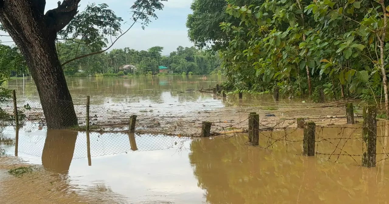 Flashflood hits Khagrachhari after torrential rain; many families stranded