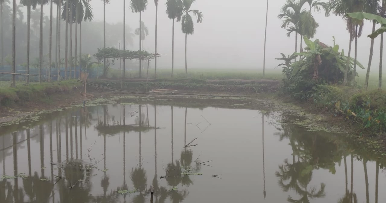 Dense fog blankets Lalmonirhat as signs of winter emerge