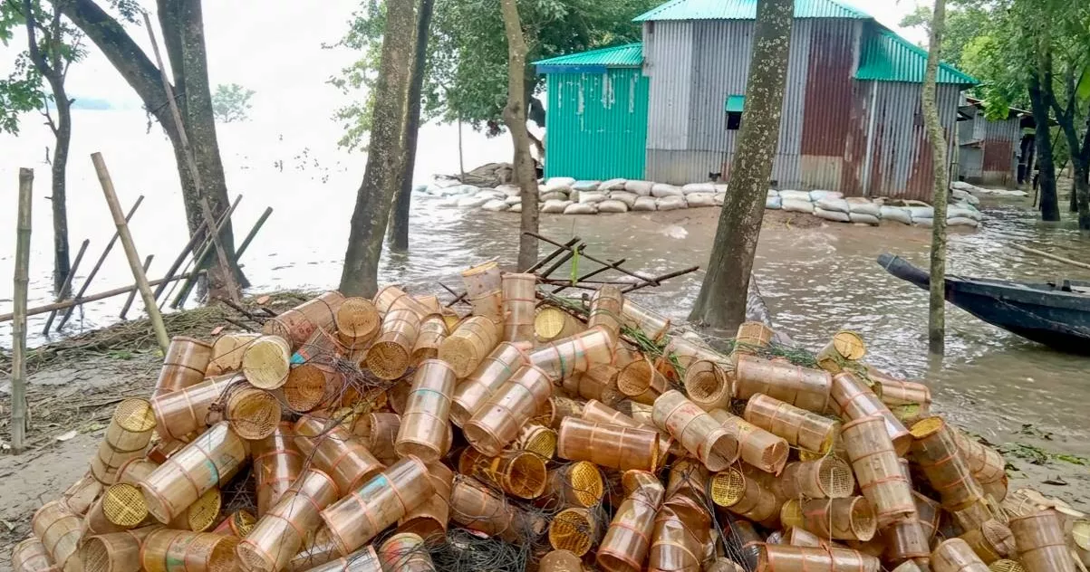 A Ramsar site under pressure: Plastic traps threaten Tanguar Haor