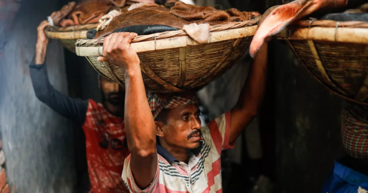 Posta comes alive as Eid hides pour into Dhaka's largest rawhide market