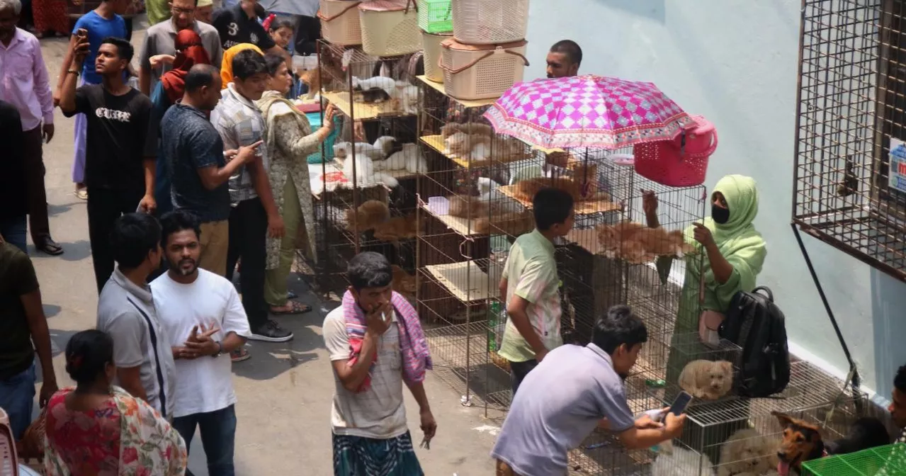 Cruelty on display: Pets kept in inhumane condition at Mirpur