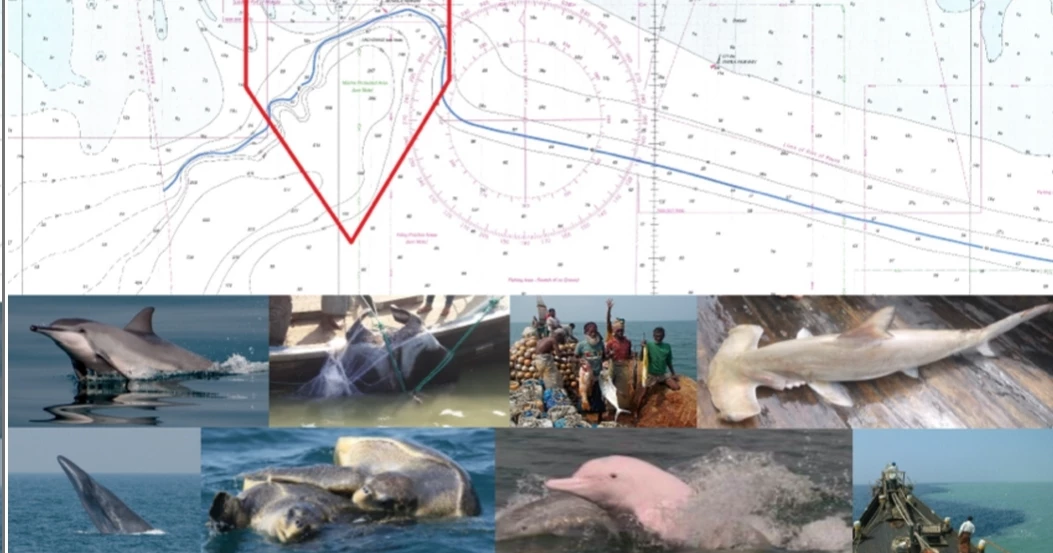 Govt finalises plan for Swatch of No-Ground to protect marine biodiversity: Rizwana