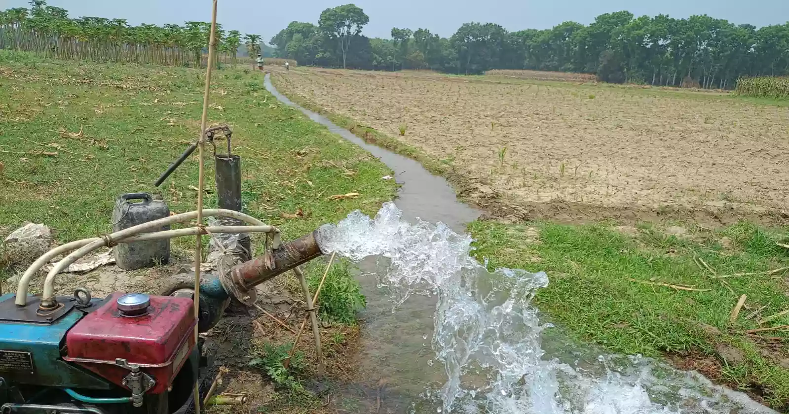 Chuadanga farmers count ‘hundreds of crore’ in losses as climate change devastates livelihoods
