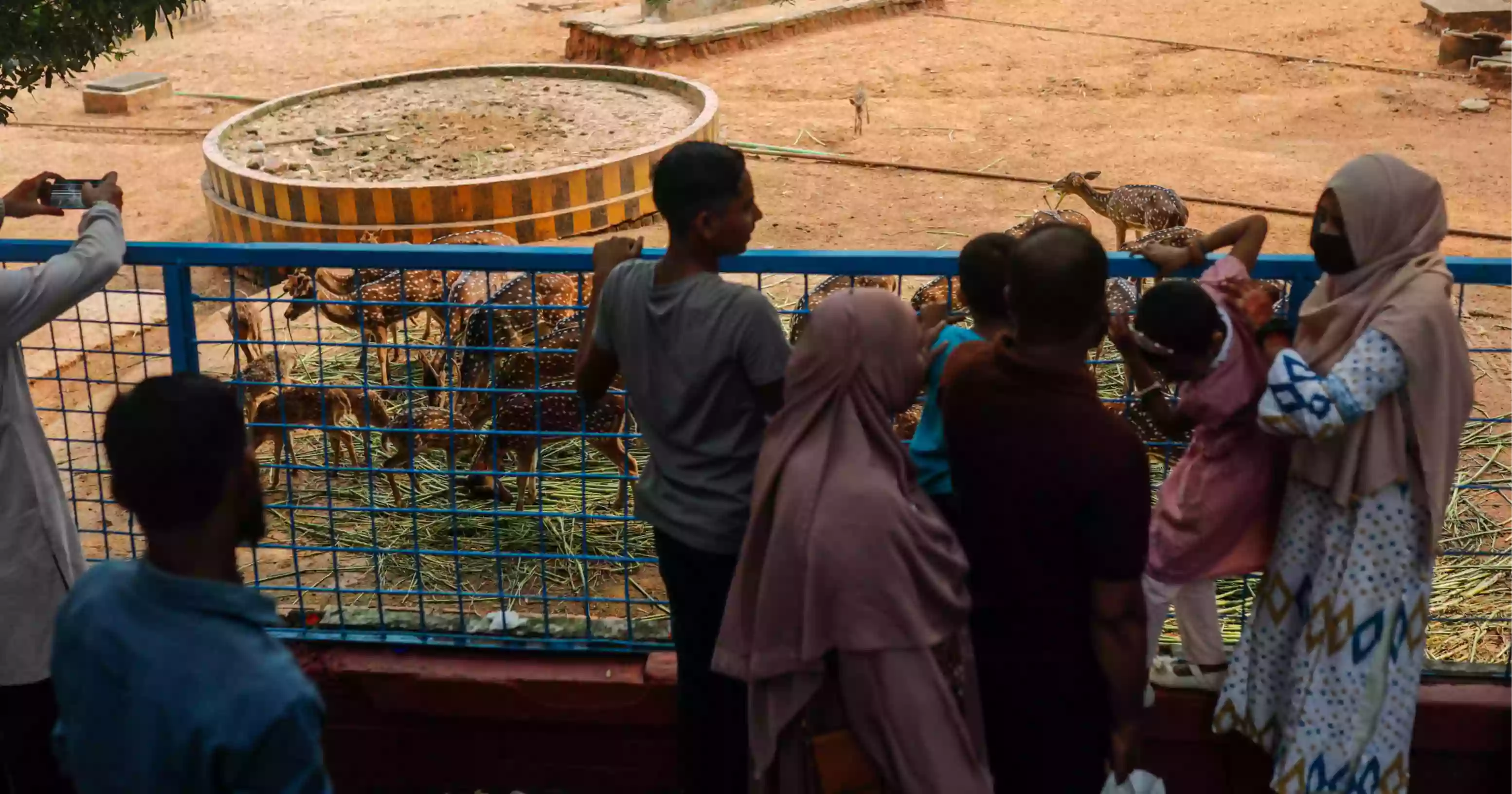 Buffalo named after Trump now drawing Eid crowds at National Zoo