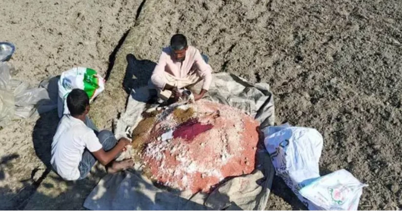 fertiliser shortage northern Bangladesh