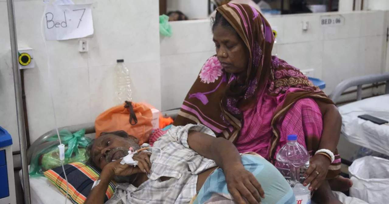 DSCC records highest dengue fatalities this year