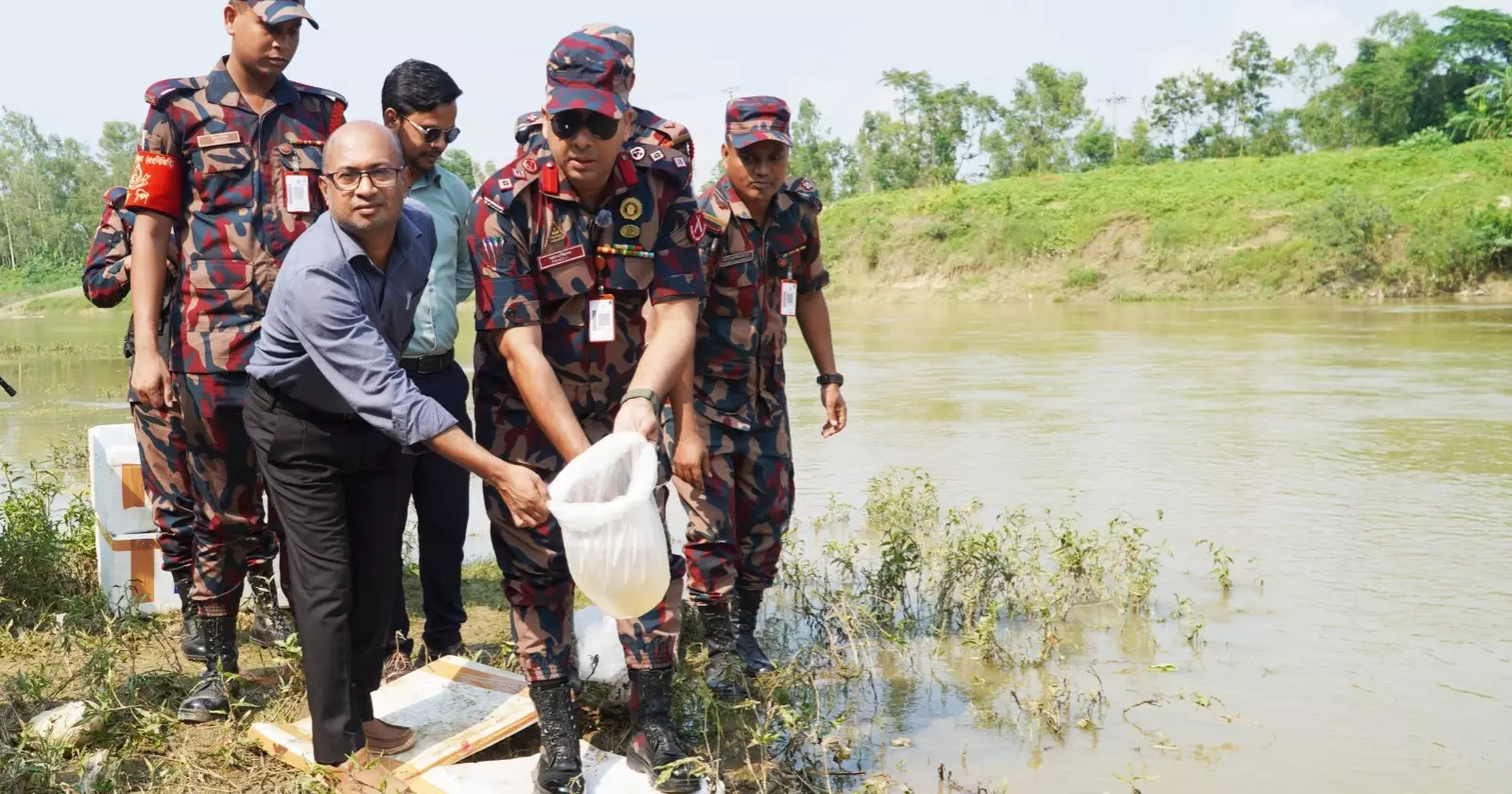 BGB seizes Tk 2cr Indian prawn fry in Habiganj