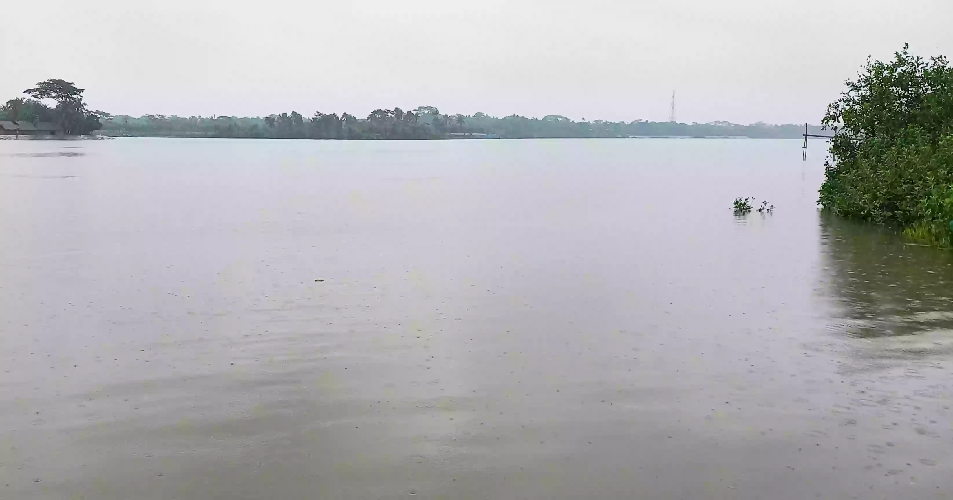 Rain causes waterlogging in Bagerhat, low-income people suffer