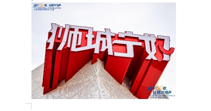 Ningxia's Yanchi targets middle east halal market through e-commerce