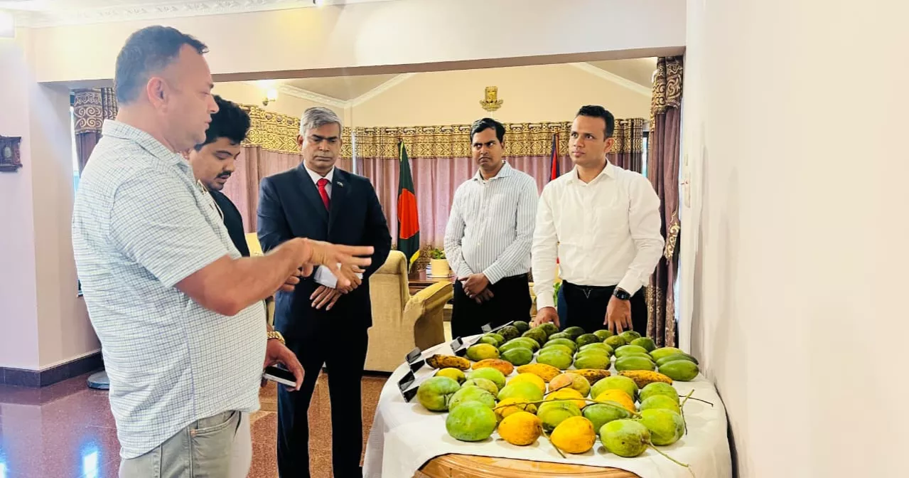 Bangladesh Embassy in Nepal promotes mango exports