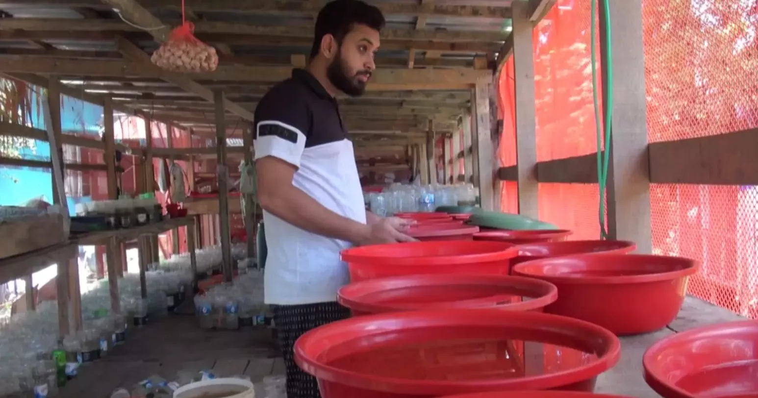 From hobby to livelihood: Patuakhali youth makes over Tk 100,000 a month from ornamental fish