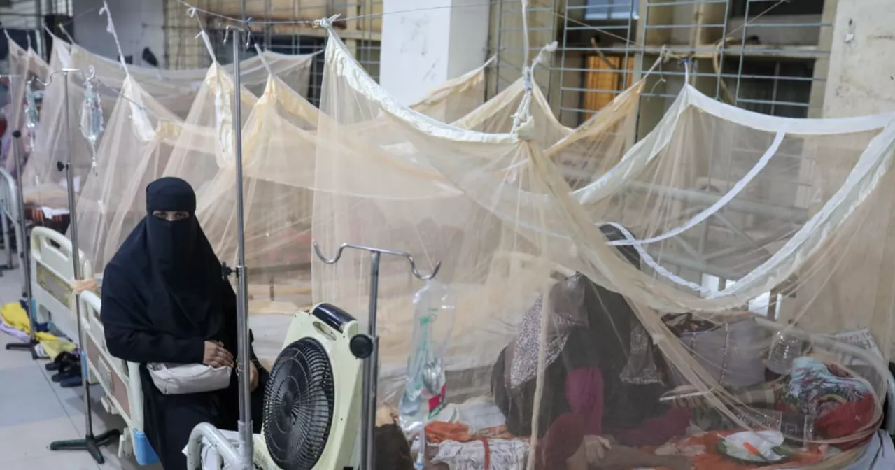 Dengue cases surge, hospitals struggle with growing patient pressure