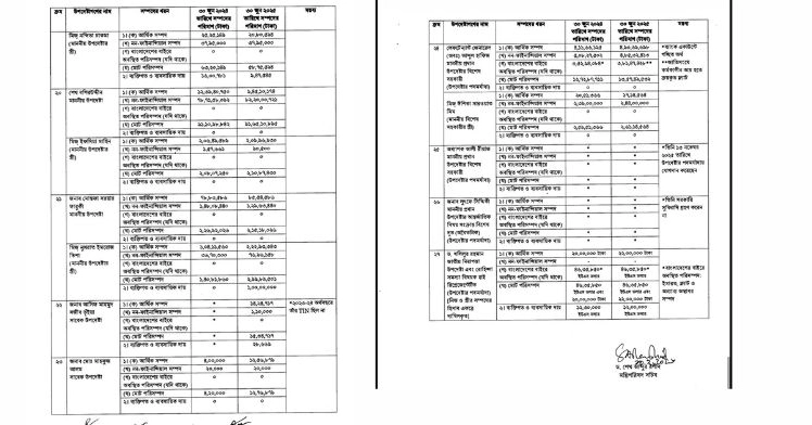 What the interim government revealed about advisers’ assets