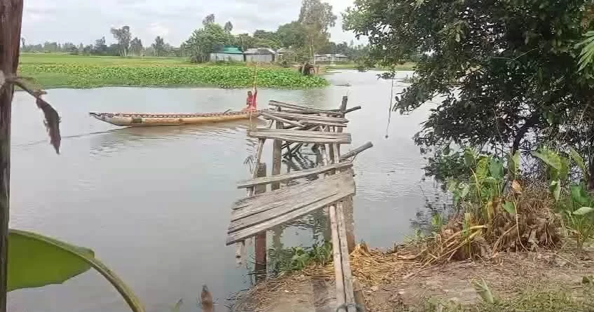 Thousands suffer as wooden bridge collapses in Rangpur