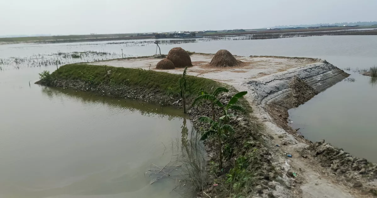 'Cluster Homes' gaining popularity in Kurigram char areas as flood protection