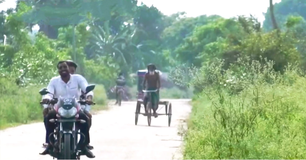 Invasive parthenium emerges as threat to crops, health in Chuadanga