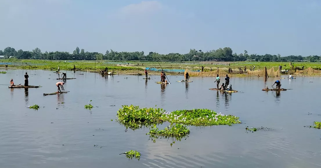 Thousands join traditional fishing festival at Burir Bandh in Thakurgaon
