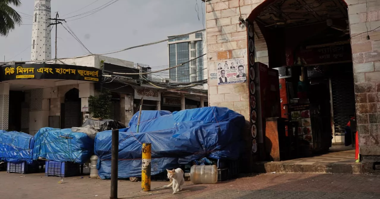 Compassion beyond duty: New Market guards help hungry cats during Eid holidays