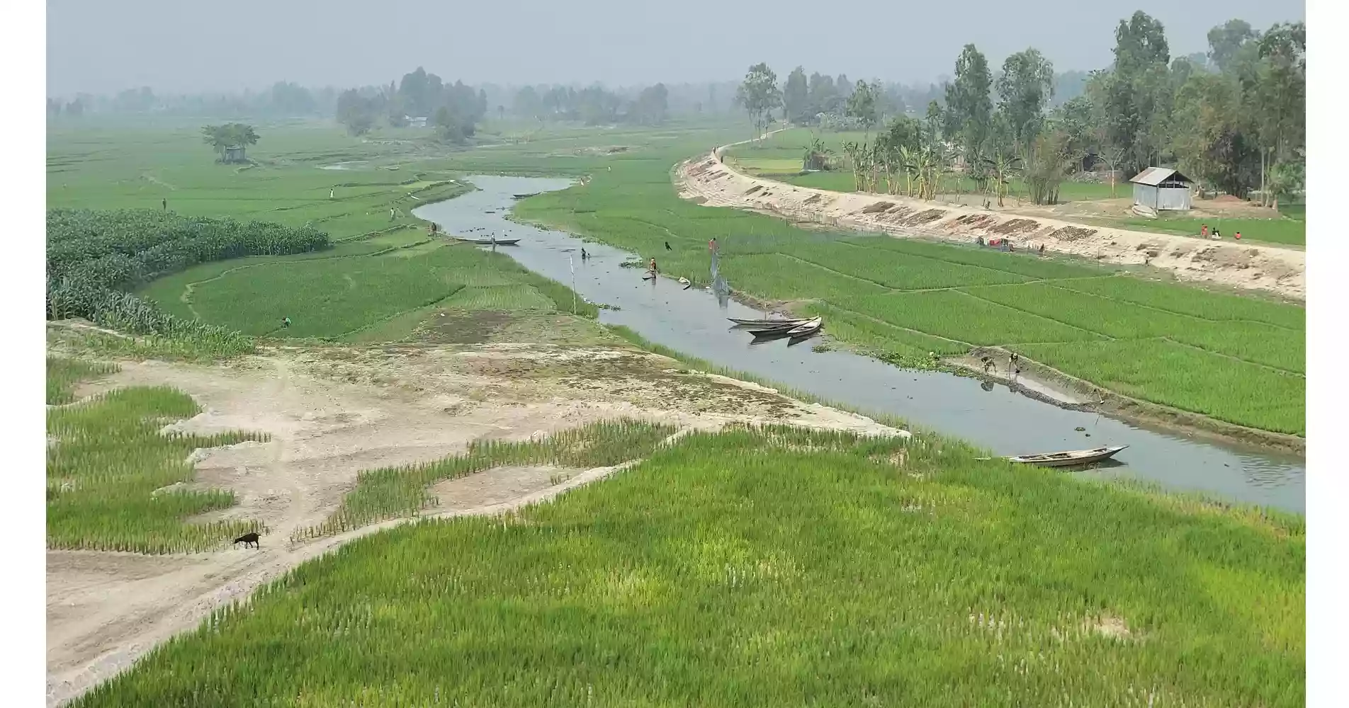 Drying rivers spur farming dreams, worries fishermen in Kurigram